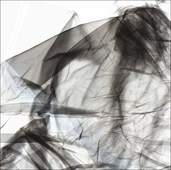 6. Veronica wipes the face of Jesus   20x20