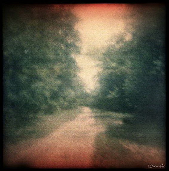 Mlociny_Gardens_50X50