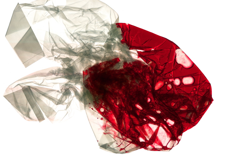 Raspberry juice1  100X70