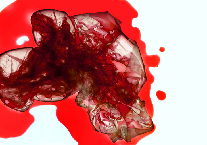 Raspberry juice2  100X70